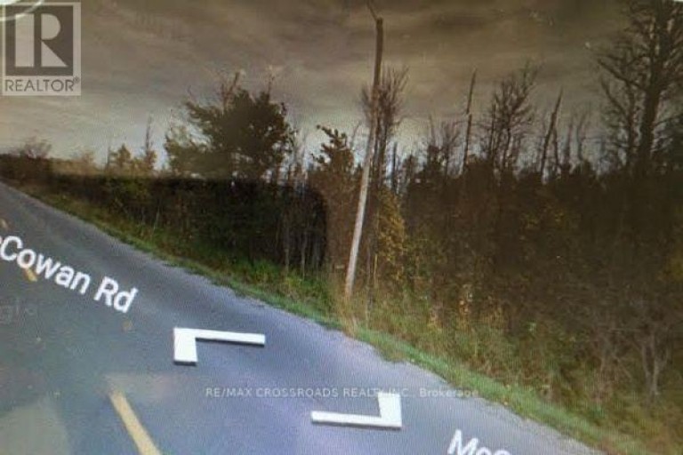 LOT#10 MCCOWAN ROAD, Georgina (Baldwin), Ontario, L0E1R0