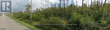 LOT#10 MCCOWAN ROAD Georgina (Baldwin) Ontario photo 2