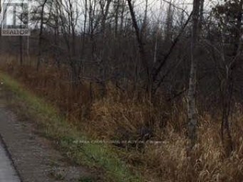 LOT#10 MCCOWAN ROAD Georgina (Baldwin) Ontario photo 5