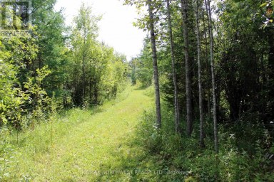 PCL 13496 BLUE RD 2 Dawson (TB-403) Ontario photo 23