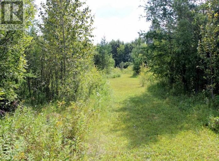 PCL 13496 BLUE RD 2, Dawson (TB-403), Ontario, P0W1M0