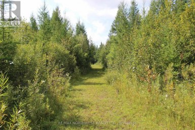 PCL 13496 BLUE RD 2 Dawson (TB-403) Ontario photo 30
