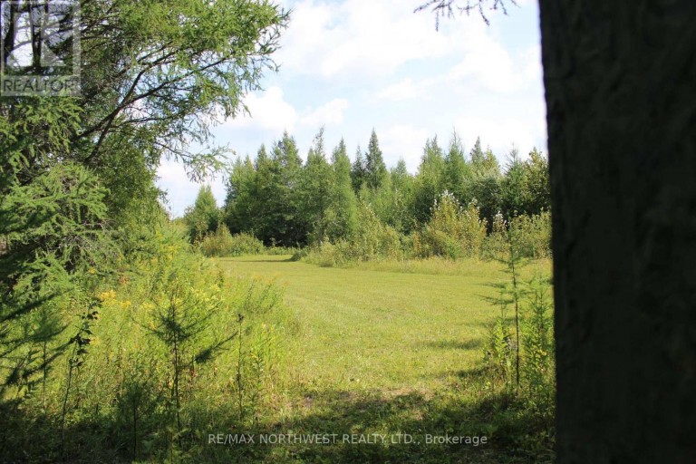 PCL 13496 BLUE RD 2, Dawson (TB-403), Ontario, P0W1M0