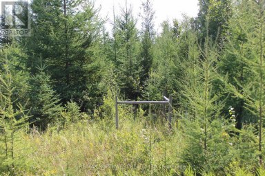 PCL 13496 BLUE RD 2 Dawson (TB-403) Ontario photo 36