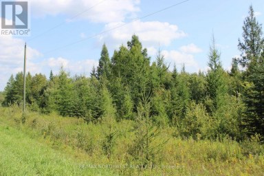 PCL 13496 BLUE RD 2 Dawson (TB-403) Ontario photo 37