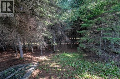 729 Route 260 Saint-Quentin New Brunswick photo 47