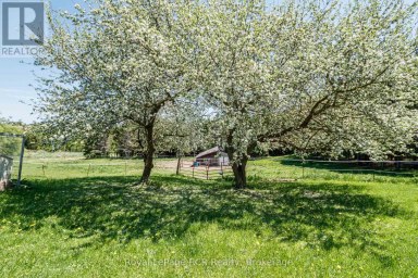 2553 COUNTY ROAD 42 Clearview Ontario photo 32