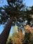 0 LAKESHORE DRIVE, Hastings Highlands (bangor Ward), Ontario, K0J1L0 (ID X13722496)