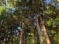 0 LAKESHORE DRIVE, Hastings Highlands (bangor Ward), Ontario, K0J1L0 (ID X13722496)