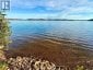 0 LAKESHORE DRIVE, Hastings Highlands (bangor Ward), Ontario, K0J1L0 (ID X13722496)