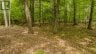 0 LAKESHORE DRIVE, Hastings Highlands (bangor Ward), Ontario, K0J1L0 (ID X13722496)