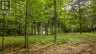 0 LAKESHORE DRIVE, Hastings Highlands (bangor Ward), Ontario, K0J1L0 (ID X13722496)