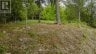 0 LAKESHORE DRIVE, Hastings Highlands (bangor Ward), Ontario, K0J1L0 (ID X13722496)