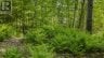 0 LAKESHORE DRIVE, Hastings Highlands (bangor Ward), Ontario, K0J1L0 (ID X13722496)