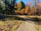 0 LAKESHORE DRIVE, Hastings Highlands (bangor Ward), Ontario, K0J1L0 (ID X13722496)