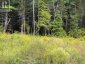 0 MUD LAKE ROAD, Laurentian Valley, Ontario, K8A6W4 (ID X13722530)