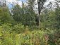 0 MUD LAKE ROAD, Laurentian Valley, Ontario, K8A6W4 (ID X13722530)