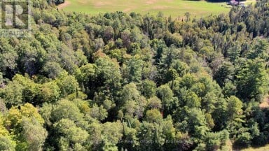 0 28 HIGHWAY E Bancroft (Dungannon Ward) Ontario photo 1