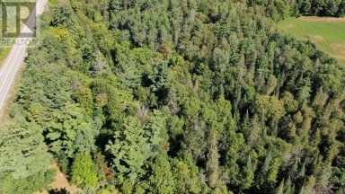 0 28 HIGHWAY E Bancroft (Dungannon Ward) Ontario photo 3