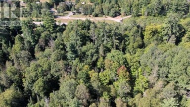 0 28 HIGHWAY E Bancroft (Dungannon Ward) Ontario photo 5