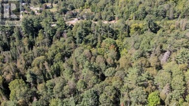 0 28 HIGHWAY E Bancroft (Dungannon Ward) Ontario photo 6