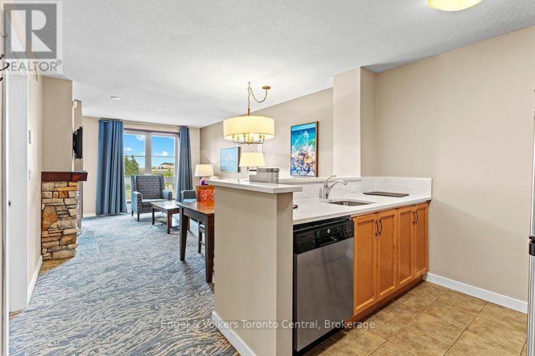 251 - 156 JOZO WEIDER BOULEVARD, Blue Mountains, Ontario, L9Y0V2
