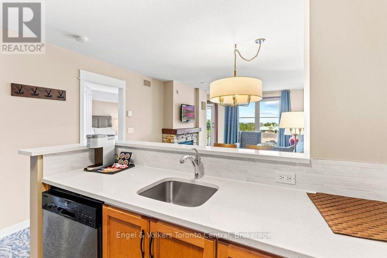 251 - 156 JOZO WEIDER BOULEVARD, Blue Mountains, Ontario, L9Y0V2
