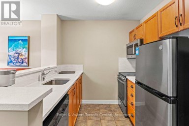 251 - 156 JOZO WEIDER BOULEVARD Blue Mountains Ontario photo 19
