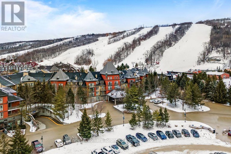 251 - 156 JOZO WEIDER BOULEVARD, Blue Mountains, Ontario, L9Y0V2