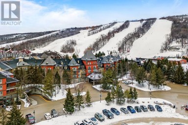 251 - 156 JOZO WEIDER BOULEVARD Blue Mountains Ontario photo 2