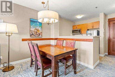 251 - 156 JOZO WEIDER BOULEVARD Blue Mountains Ontario photo 20