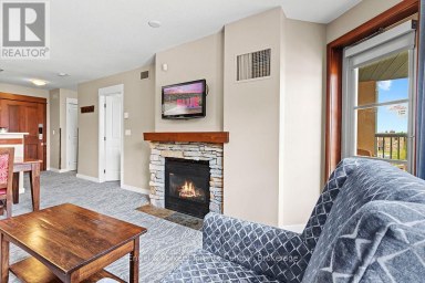 251 - 156 JOZO WEIDER BOULEVARD Blue Mountains Ontario photo 25