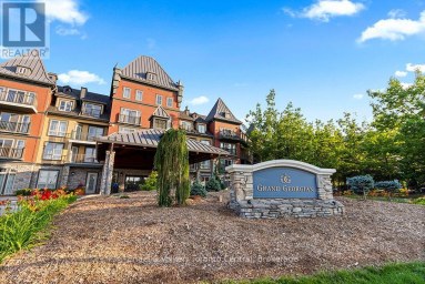 251 - 156 JOZO WEIDER BOULEVARD Blue Mountains Ontario photo 3