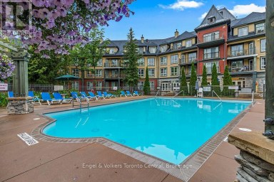 251 - 156 JOZO WEIDER BOULEVARD Blue Mountains Ontario photo 35