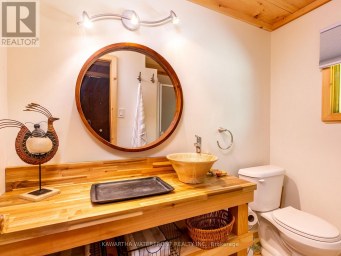93 WEST CLEAR BAY ROAD Trent Lakes Ontario photo 23