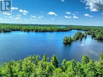 93 WEST CLEAR BAY ROAD Trent Lakes Ontario photo 3