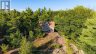 4476 ISLAND 1040/LITTLE BEAUSOLEIL ISLAND, Georgian Bay (baxter), Ontario, P0E1E0 (ID X13723682)