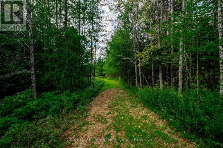 702 LETTERKENNY ROAD, Brudenell, Lyndoch and Raglan, Ontario, K0J2E0