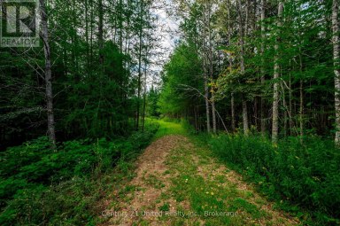 702 LETTERKENNY ROAD Brudenell, Lyndoch and Raglan Ontario photo 31