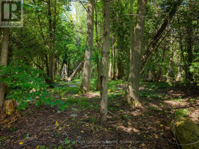 145839 GREY ROAD 12, Meaford, Ontario, N4L1W5