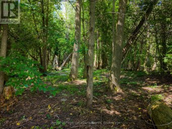 145839 GREY ROAD 12 Meaford Ontario photo 46