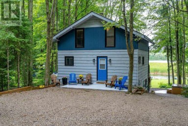 218 WILES LANE Grey Highlands Ontario photo 1