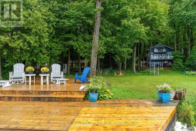 218 WILES LANE Grey Highlands Ontario photo 11