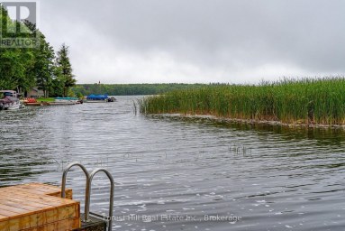 218 WILES LANE Grey Highlands Ontario photo 16