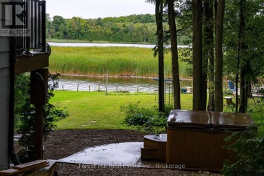 218 WILES LANE Grey Highlands Ontario photo 25