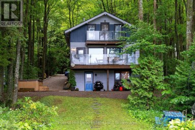 218 WILES LANE Grey Highlands Ontario photo 9