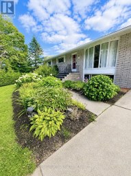 127 BRIDGE STREET W Bancroft (Bancroft Ward) Ontario photo 36
