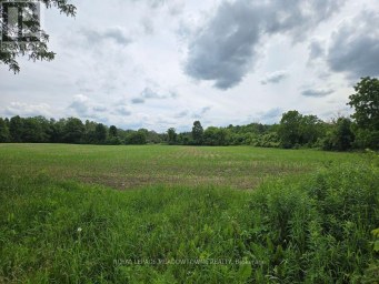 11080 FIRST LINE NASSAGAWEYA Milton Ontario photo 19