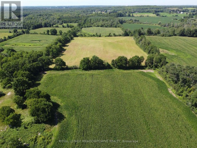 11080 FIRST LINE NASSAGAWEYA, Milton, Ontario, L0P1J0