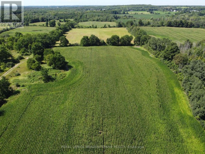 11080 FIRST LINE NASSAGAWEYA, Milton, Ontario, L0P1J0